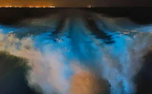 35 ‘Horror Stories’ From People Who Have Seen Things In The Ocean They Wish They Could Forget