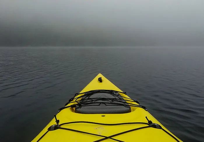 35 ‘Horror Stories’ From People Who Have Seen Things In The Ocean They Wish They Could Forget