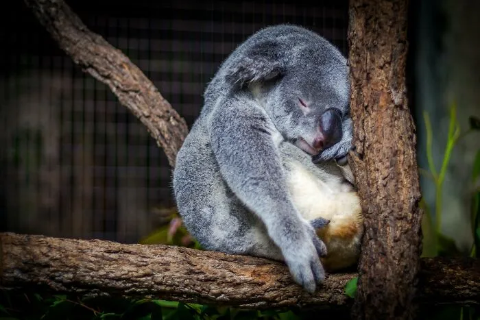 30 People Discuss Common Signs That Someone Is Living A Miserable Life