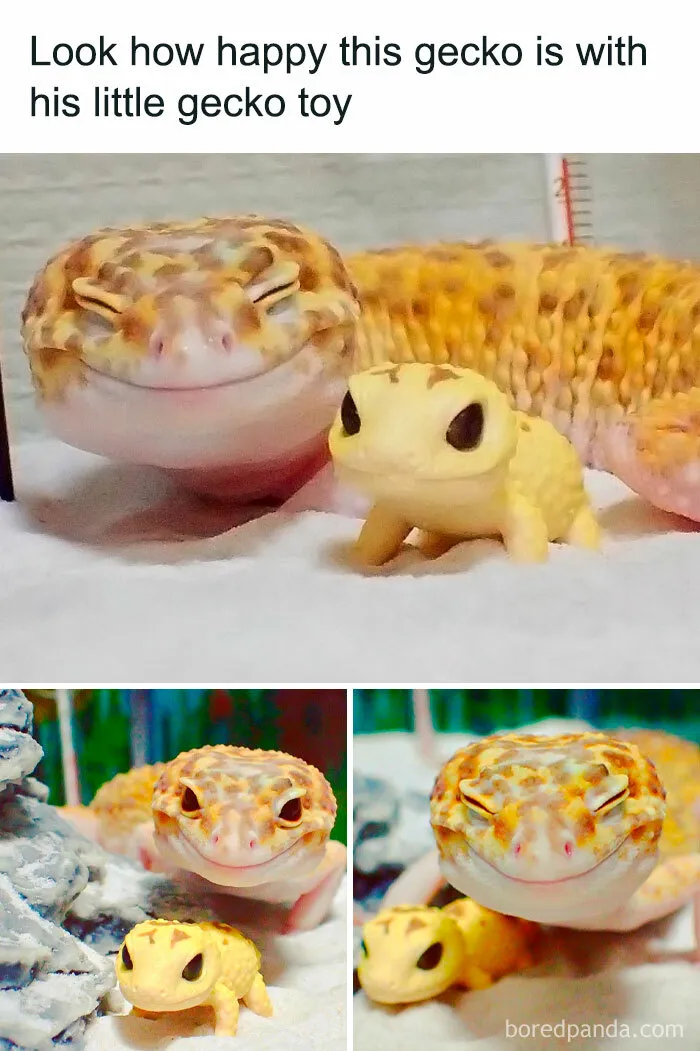 This Is Cute