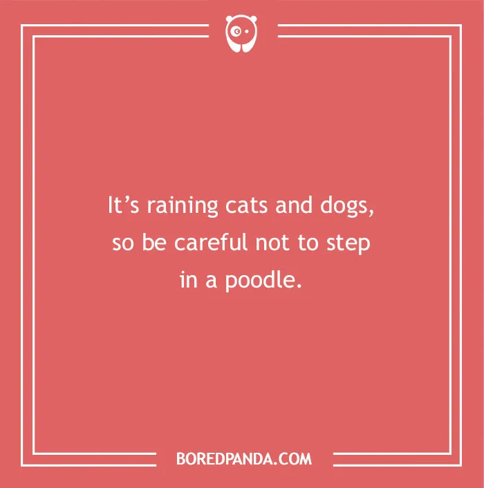 A funny dad joke for kids about it raining cats and dogs, so be careful not to step in a poodle.