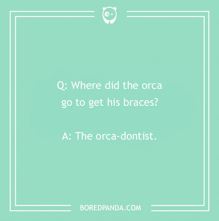 Dental joke with a pun about an orca getting braces from an orca-dontist on a green background.