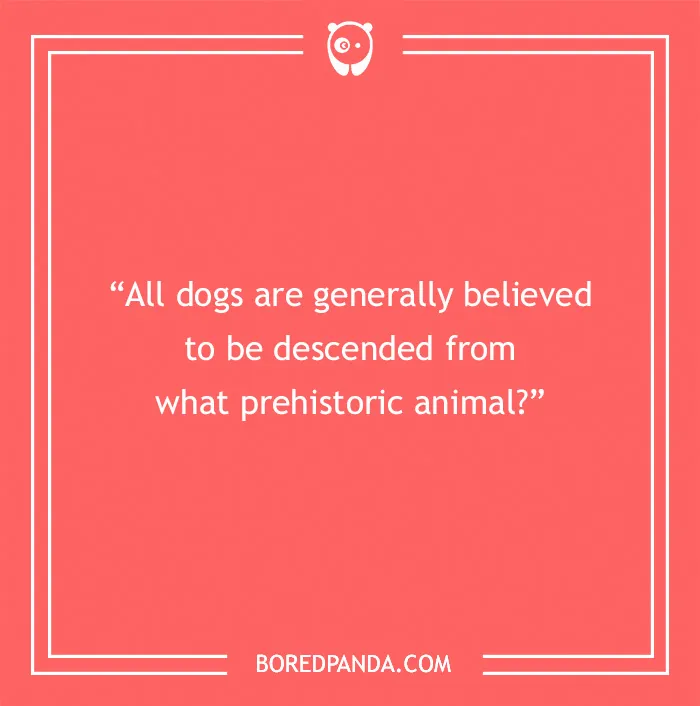 Fun Dog Trivia About All The Good Bois And Gals
