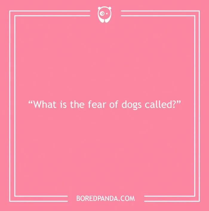 Fun Dog Trivia About All The Good Bois And Gals