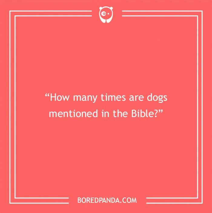 Fun Dog Trivia About All The Good Bois And Gals