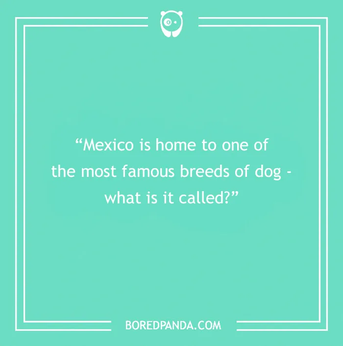 Fun Dog Trivia About All The Good Bois And Gals