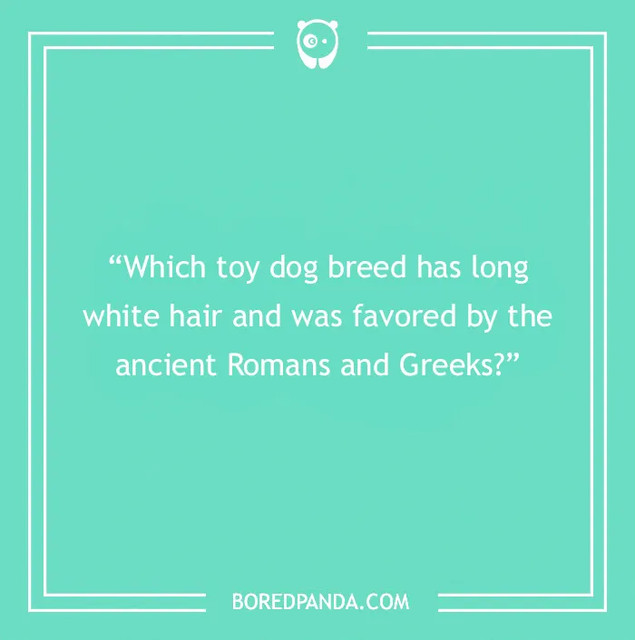 Fun Dog Trivia About All The Good Bois And Gals