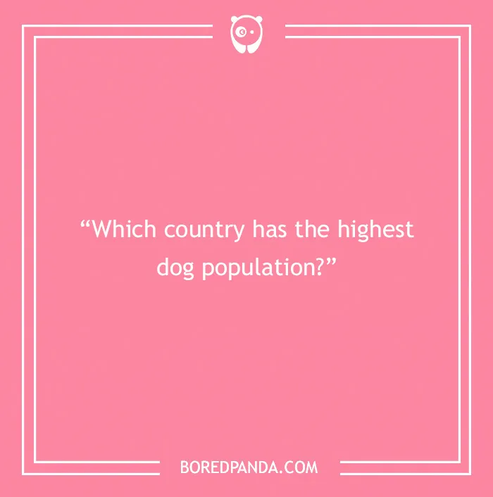Fun Dog Trivia About All The Good Bois And Gals
