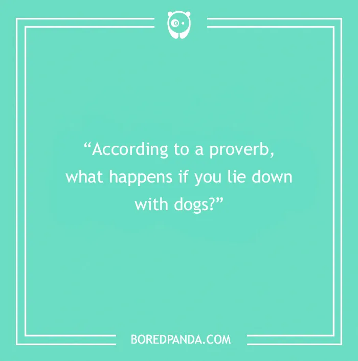 Fun Dog Trivia About All The Good Bois And Gals