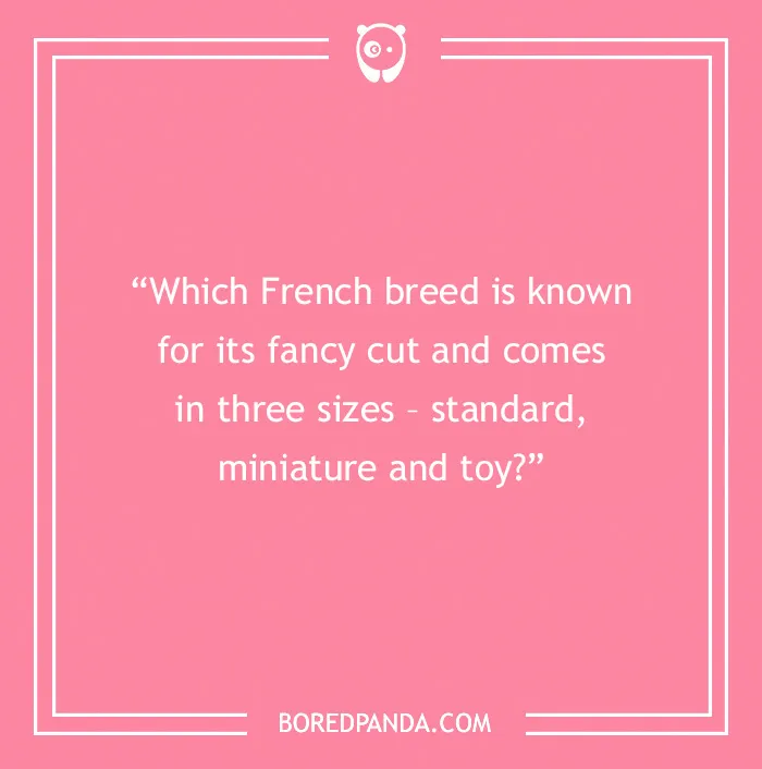Fun Dog Trivia About All The Good Bois And Gals