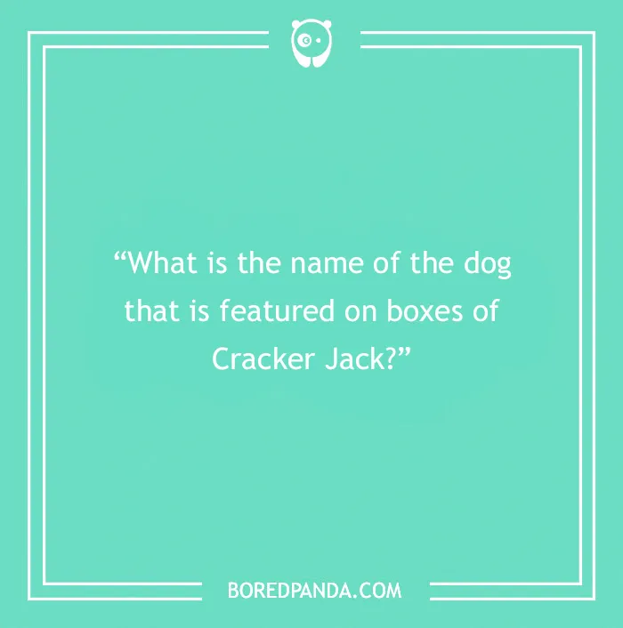 Fun Dog Trivia About All The Good Bois And Gals