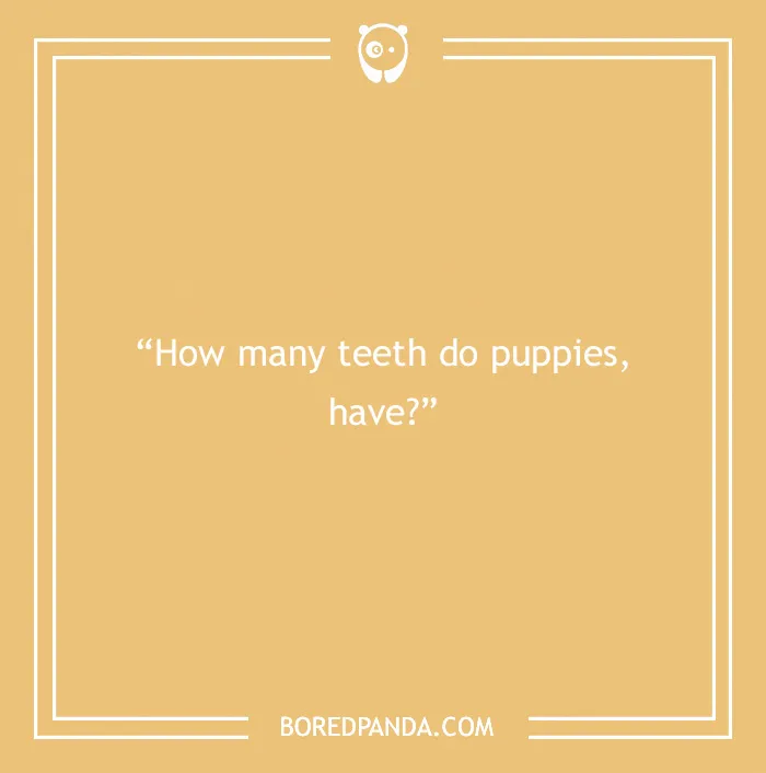 Fun Dog Trivia About All The Good Bois And Gals