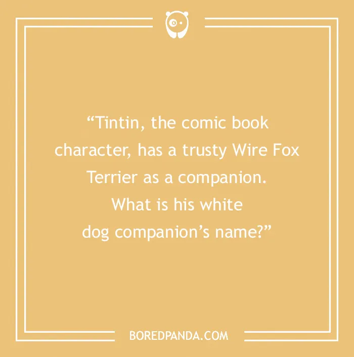 Fun Dog Trivia About All The Good Bois And Gals