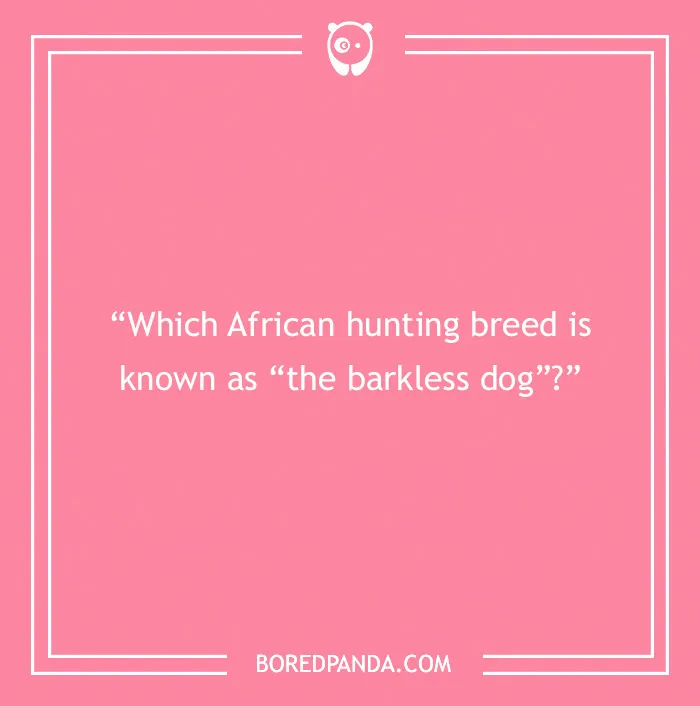 Fun Dog Trivia About All The Good Bois And Gals