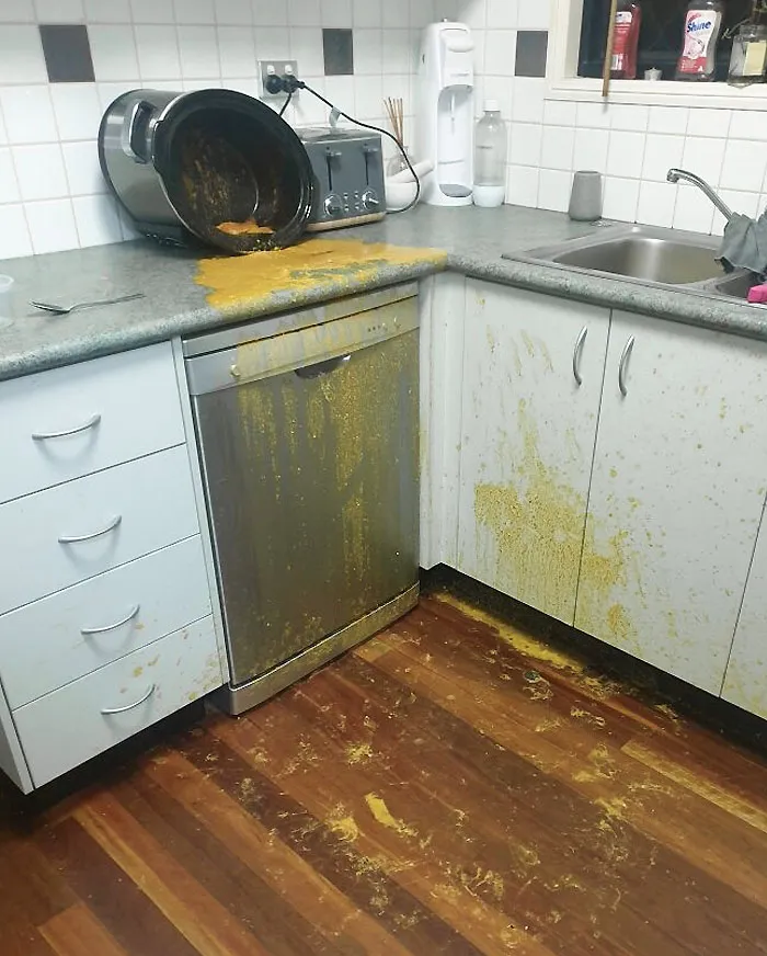 My Housemate's Dog Got Into My 6-Hour Butter Chicken. No Dinner For Me Tonight