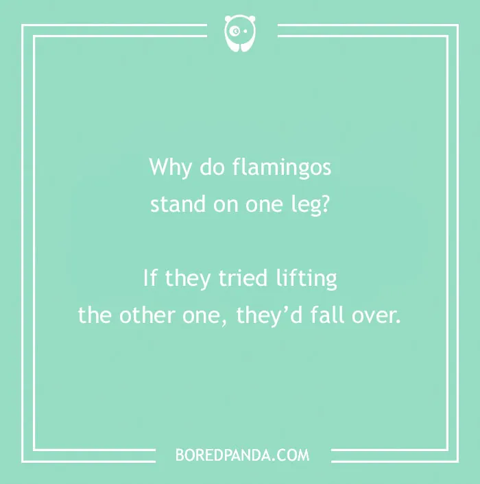 Dry humor joke about flamingos standing on one leg with a simple, witty punchline on a mint green background.