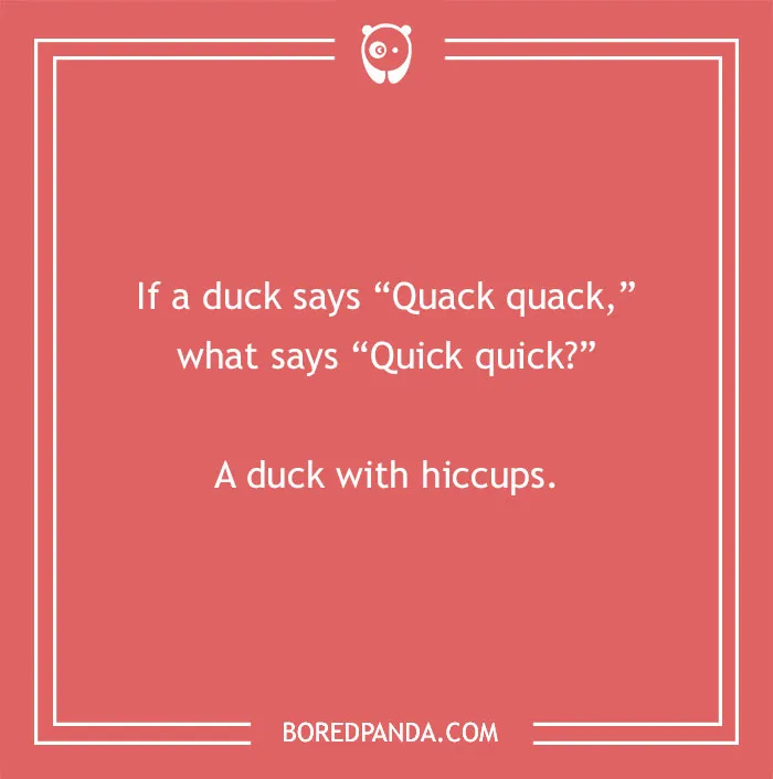 Unexpected duck drama