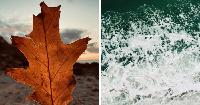 My Phone Photography Tips (33 Pics)