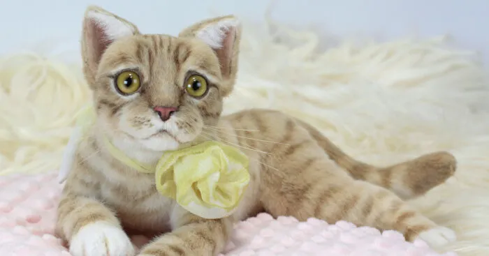 Discover The Magic: My Handcrafted Plush Kitten