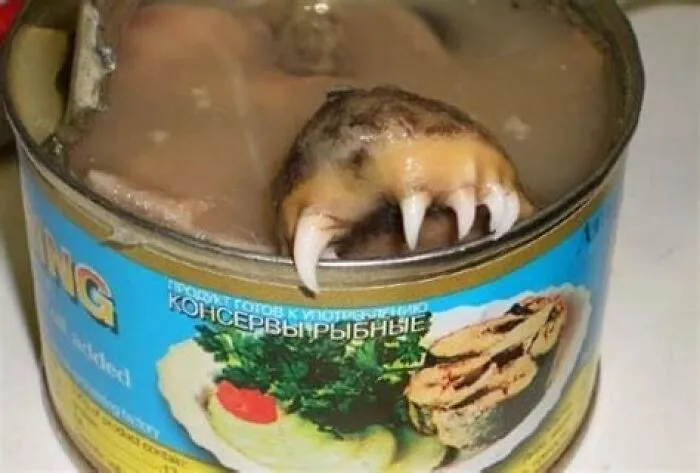 There Goes My Dinner: 30 Times People Found Food In Places It Shouldn’t Be (New Pics)