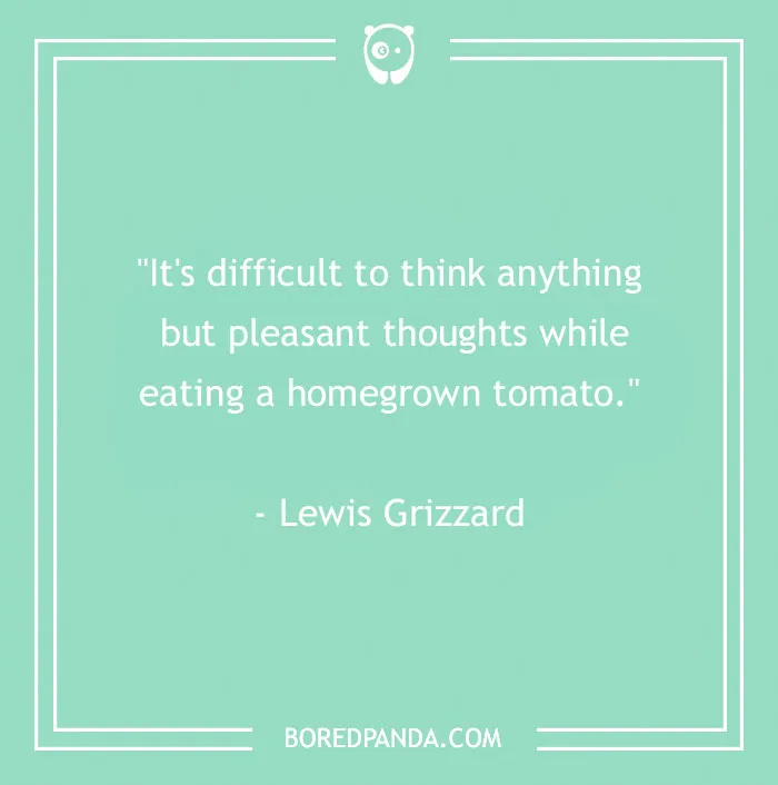Food quote by Lewis Grizzard about pleasant thoughts while eating a homegrown tomato, themed for food quotes.