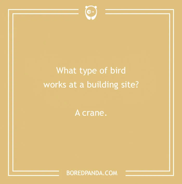 160 Bird Puns That Are Positively Owl-some