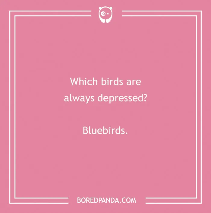 160 Bird Puns That Are Positively Owl-some
