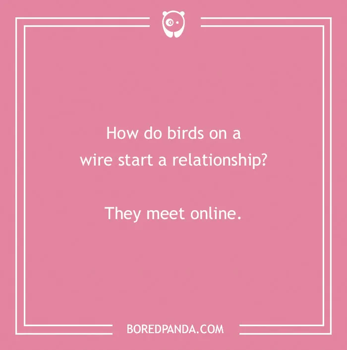 160 Bird Puns That Are Positively Owl-some