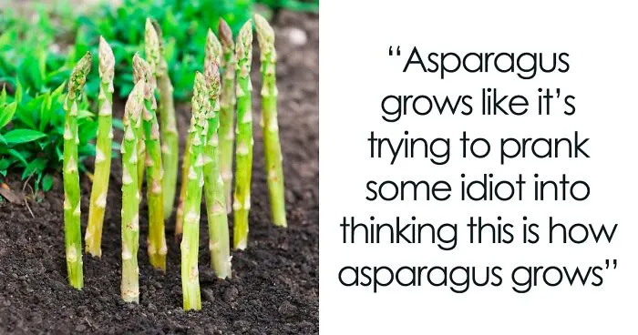 50 Times People Blessed Us With Funny "Brand New Sentences" (New Pics)