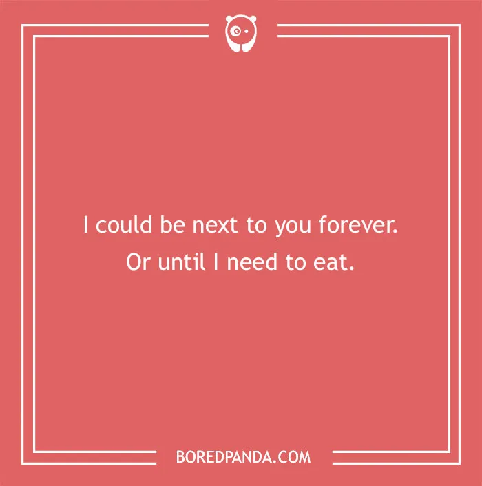 102 Funny Compliments To Share With Someone You Like
