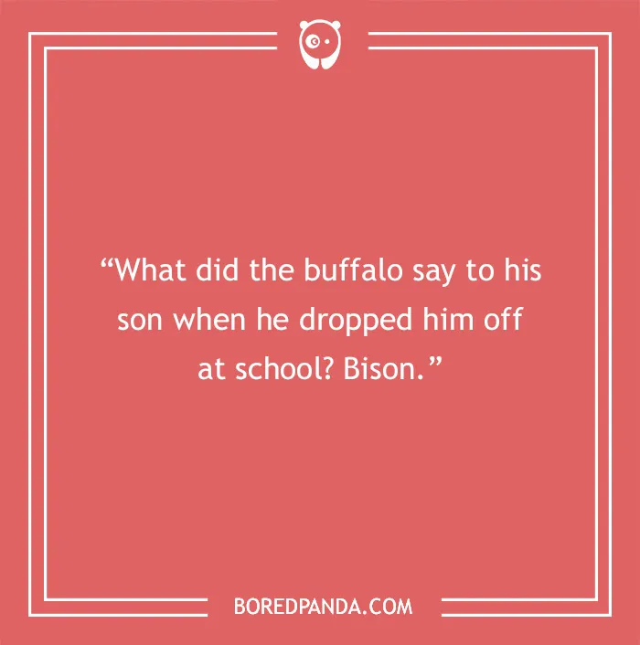Dad joke about a buffalo saying "Bison" to his son at school, on a coral background with white text.