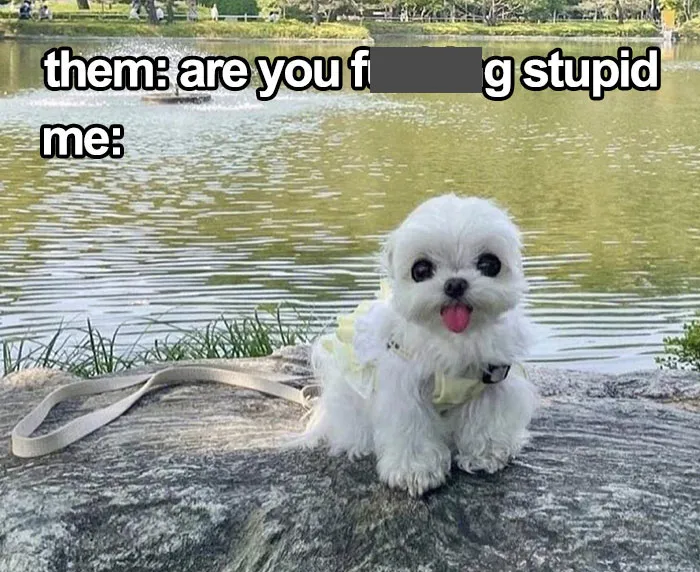 Last Brain Cell: 50 Hilarious Posts And Memes, As Seen On The ‘Iconic Posts’ X Page