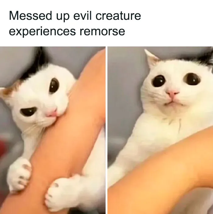 Last Brain Cell: 50 Hilarious Posts And Memes, As Seen On The ‘Iconic Posts’ X Page