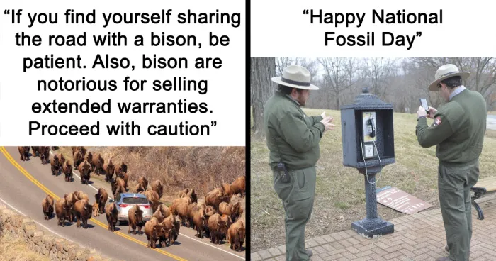 National Park Service Hired The Perfect Social Media Person As Their Tweets Are Hilarious (50 New Pics)