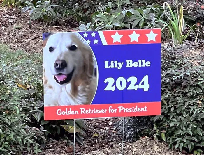 When Your Neighbors Have The Right Idea