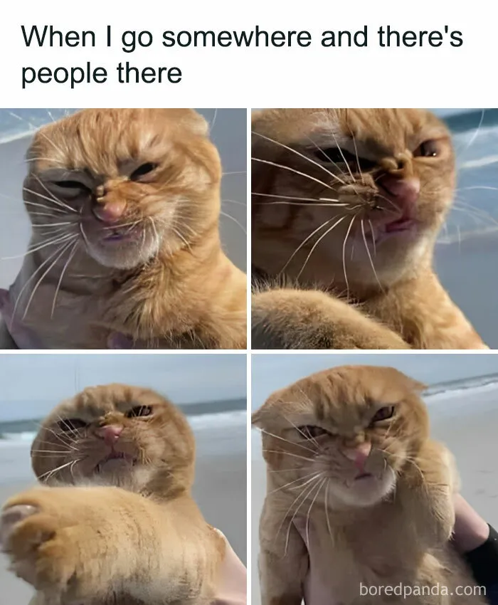 50 Hilarious Spot-On Memes To Make You Giggle, As Shared On This Facebook Group