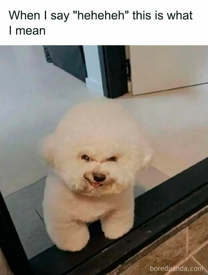 50 Hilarious Spot-On Memes To Make You Giggle, As Shared On This Facebook Group