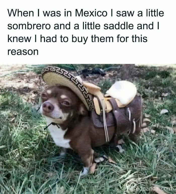 50 Hilarious Spot-On Memes To Make You Giggle, As Shared On This Facebook Group
