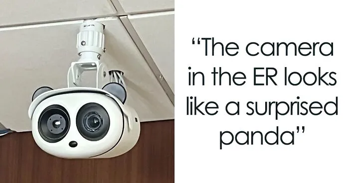 50 Hilarious Examples Of Pareidolia That Prove Our Brains Will Truly Come Up With Anything