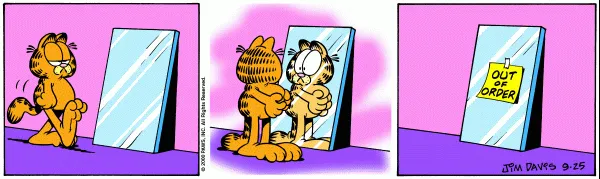 Mirror