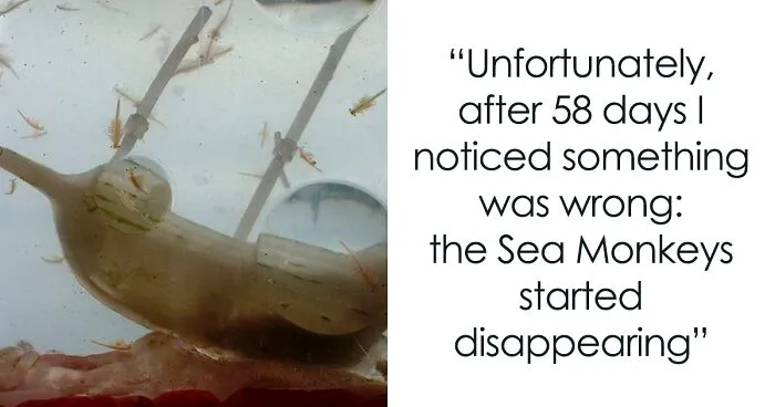 The Dark Truth Behind Childhood Staple Sea Monkeys Emerges Online