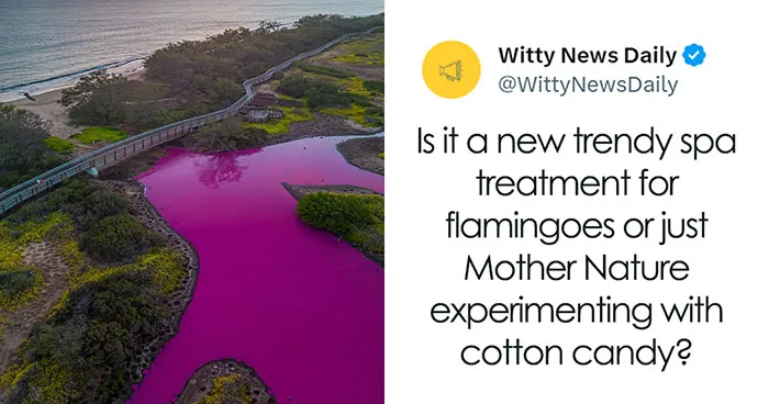 Hawaii Reservation Officials Puzzled By Pond Turning Mysteriously Pink