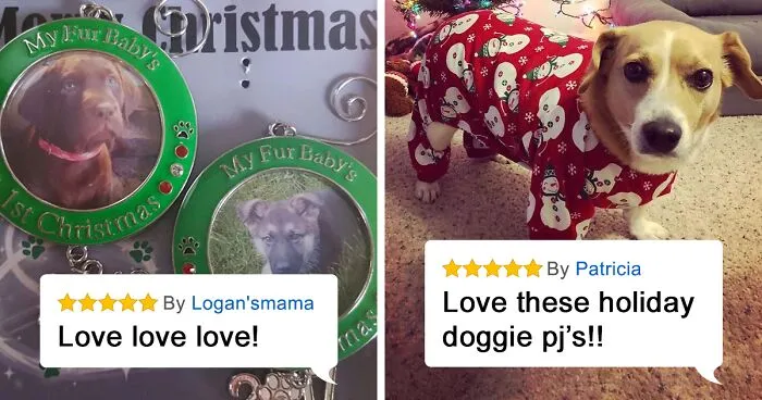 29 Things From Amazon To Help You And Your Pet Get In The Holiday Spirit