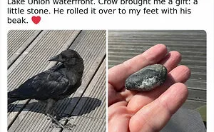 “Creepyholics”: 50 Morbid And Haunted Memes From This Instagram Page