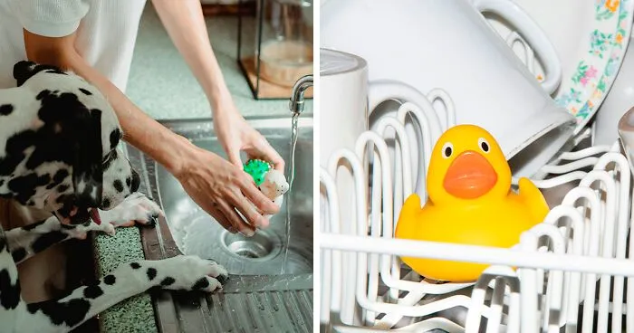 How to Wash Dog Toys: Keep It Simple and Easy
