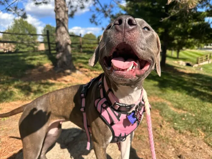 Barbie 🥰