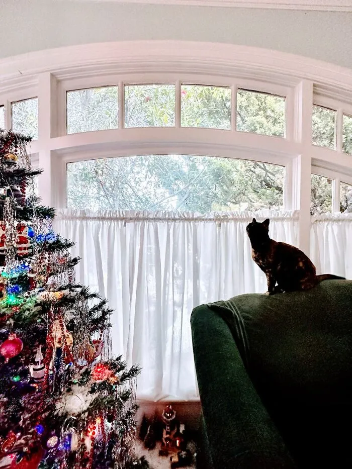 The Tree Survived