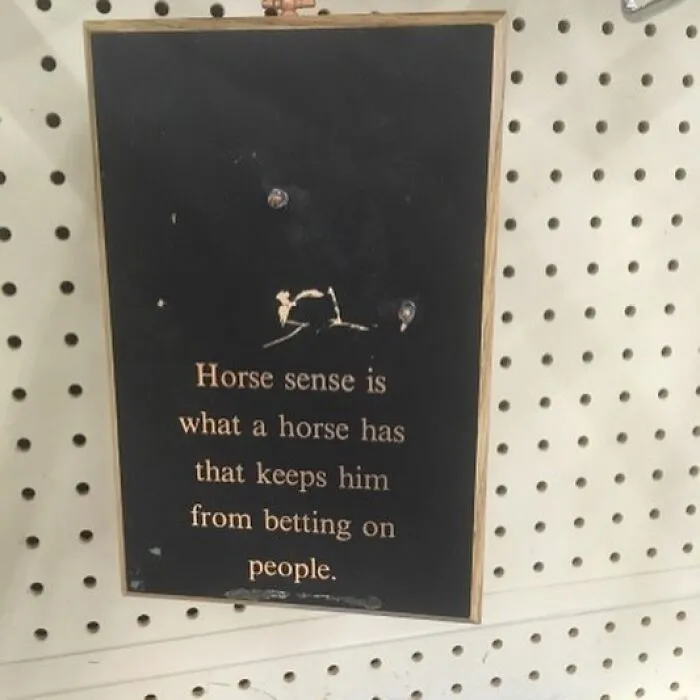 50 Weird Items That People Donated To Thrift Stores, Only For Them To End Up On This IG Page