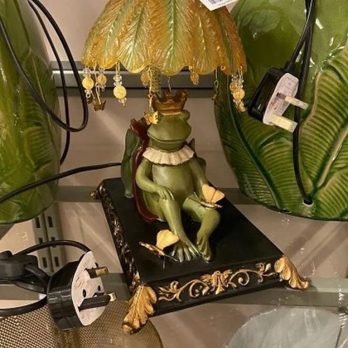 50 Weird Items That People Donated To Thrift Stores, Only For Them To End Up On This IG Page