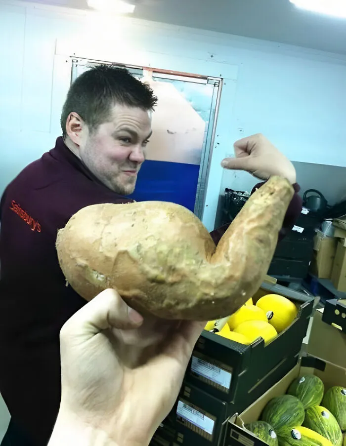 This Page Shares The Most Random And Entertaining Pics, And Here's 30 Of The Best